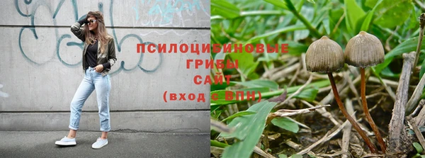 a pvp Арсеньев