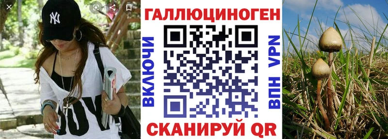 Псилоцибиновые грибы Cubensis  где можно купить   Саки 